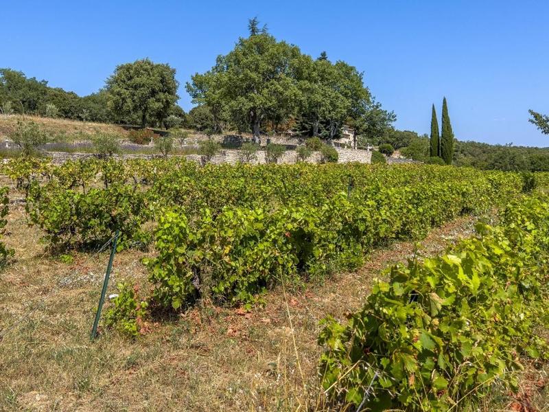 Maison de campagne - 430 m² - 18 pièces