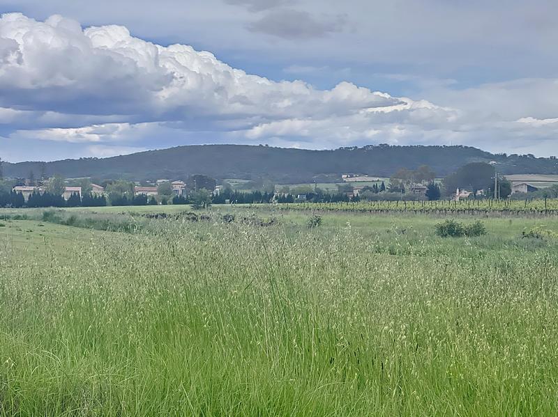 Terrain constructible - 1 000 m²