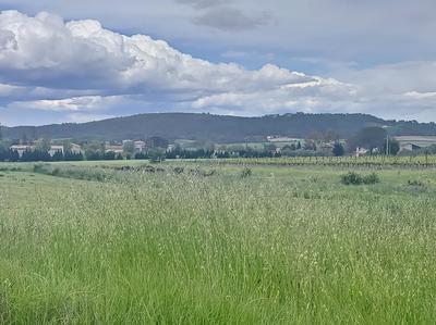 Terrain constructible - 1 000 m²