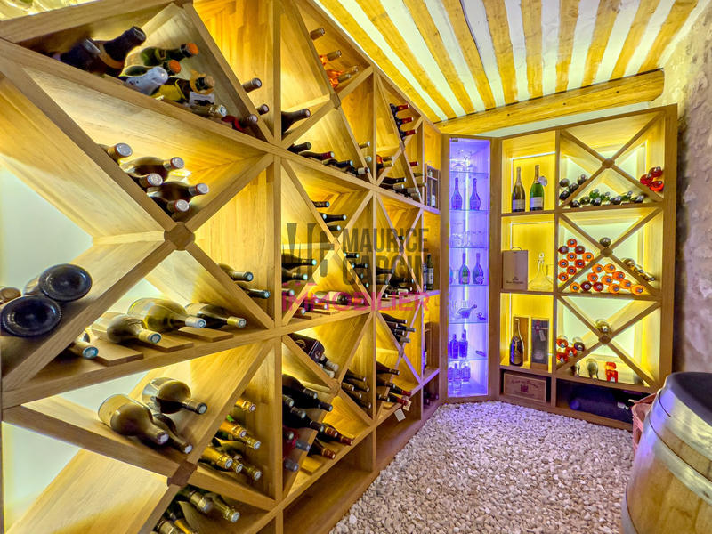 Maison - 468 m² - 7 pièces