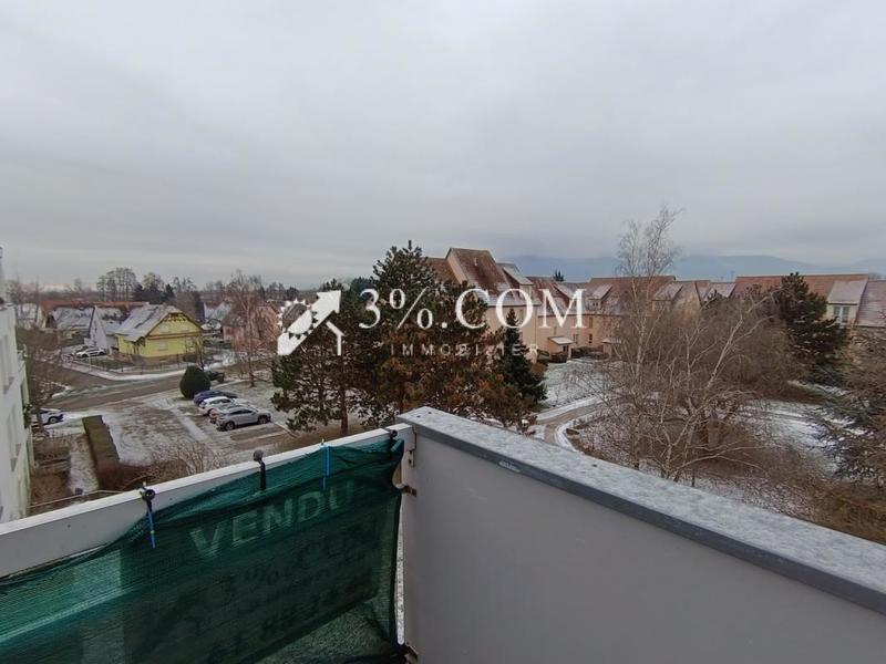 Studio - 31 m² - 1 pièce