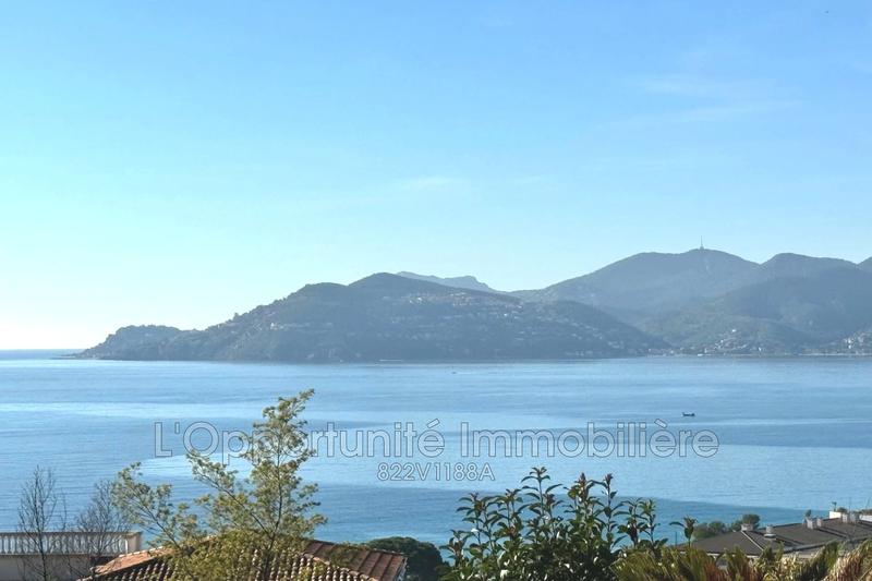 Appartement - 34 m² - 3 pièces