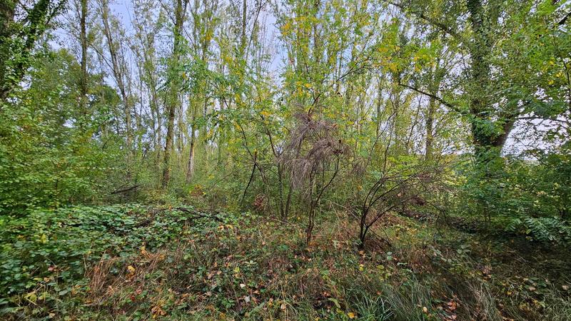 Terrain agricole - 5 100 m²