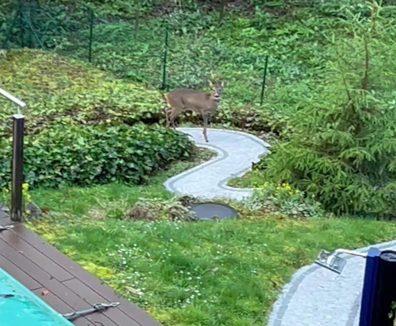 Maison - 201 m² - 7 pièces