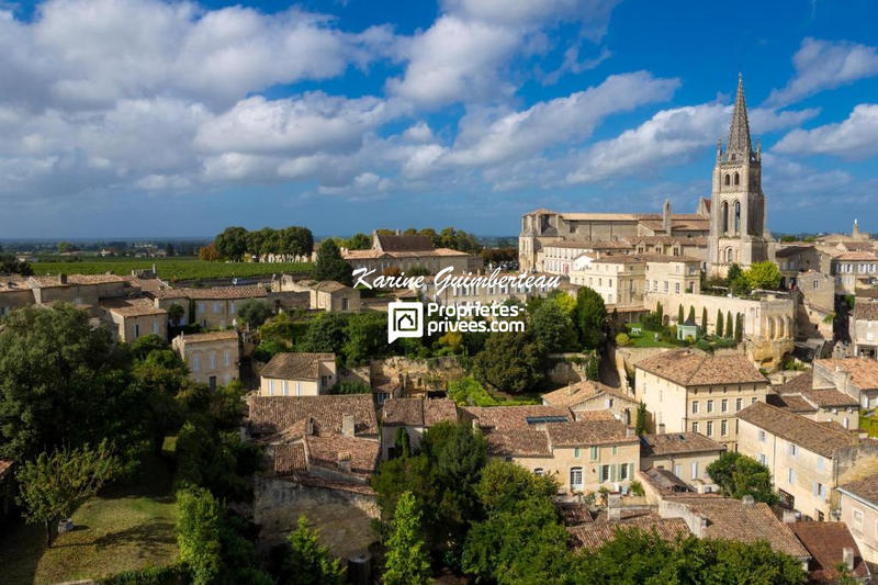 Demeure - 700 m² - 13 pièces