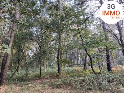 Terrain - 17 766 m²