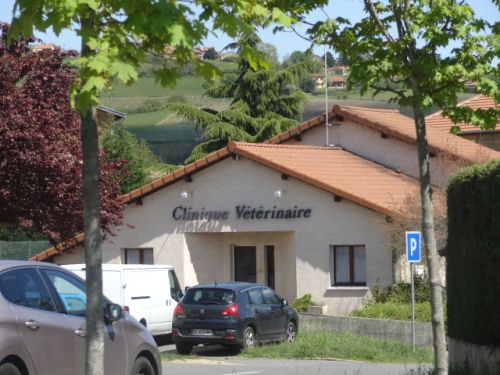 Clinique Vétérinaire Dampfhoffer Lapostolet