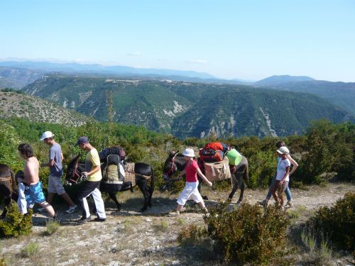 Sherp'Ânes les ânes du Causse