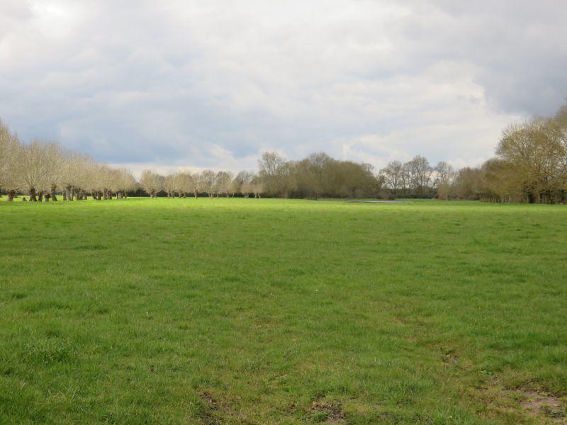 Partons découvrir le bocage et les prairies inondables