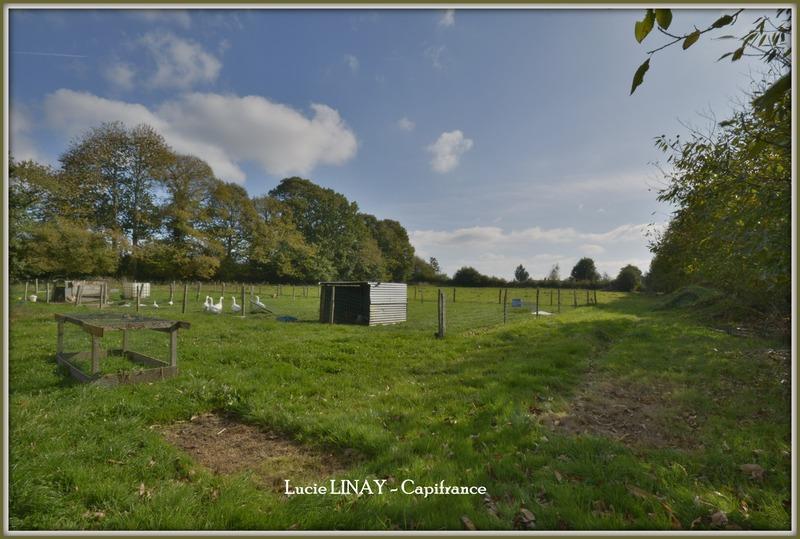 Maison - 115 m² - 4 pièces