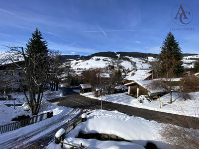 Châlet - 223 m² - 8 pièces