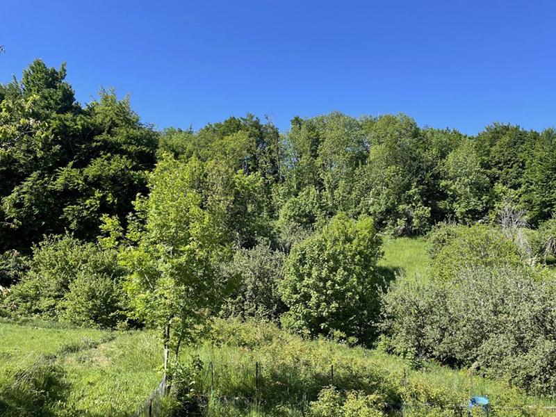 Corps de ferme - 400 m² - 5 pièces