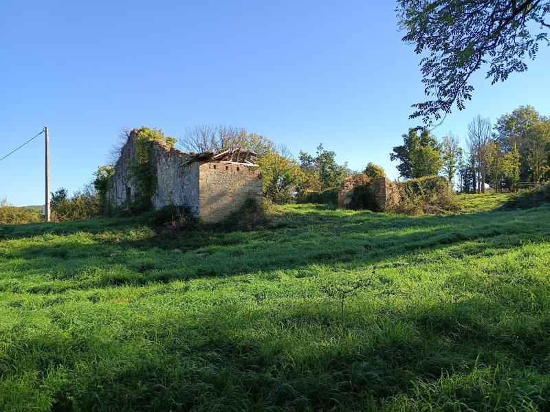 Terrain agricole - 9 582 m²