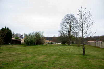 Terrain - 976 m²