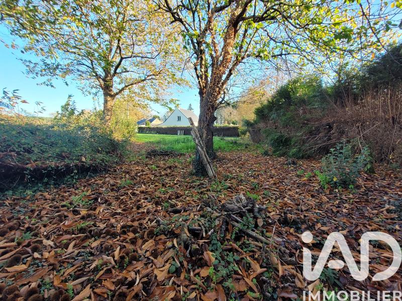 Maison de campagne - 144 m² - 4 pièces