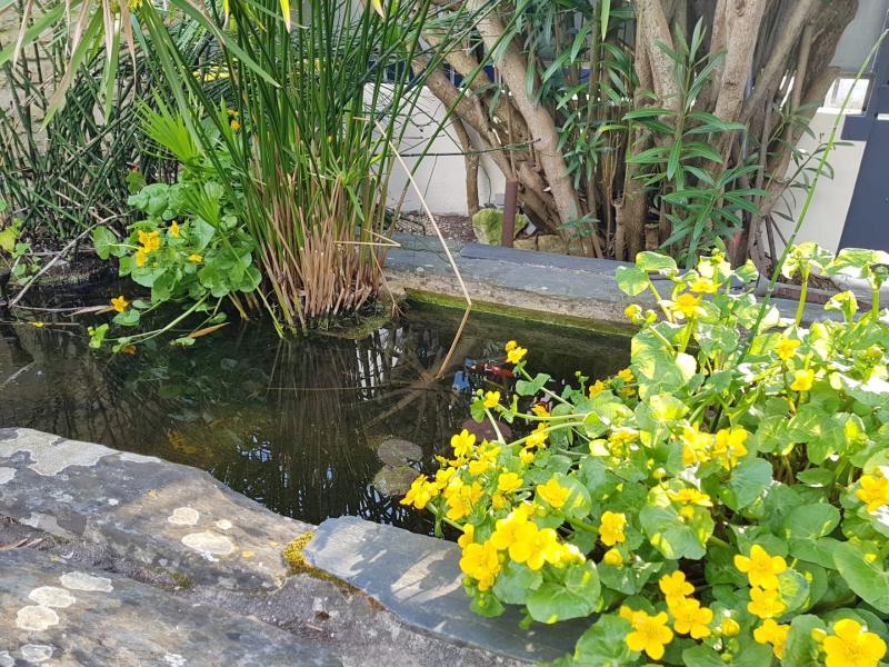 Maison - 175 m² - 8 pièces