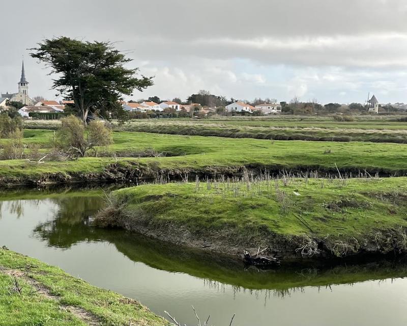 Terrain - 11 140 m²