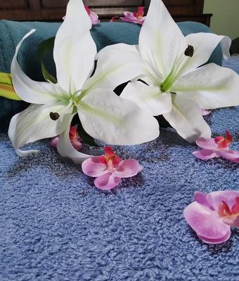 Alienore massage à domicile