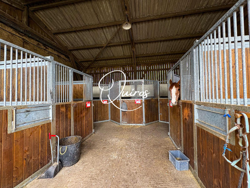 Maison - 160 m² - 5 pièces