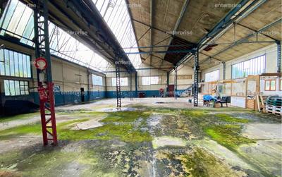 Local d'activité / Entrepôt - 1 650 m²