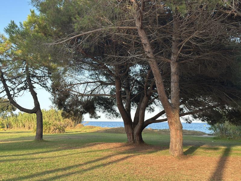 Appartement - 35 m² - 3 pièces