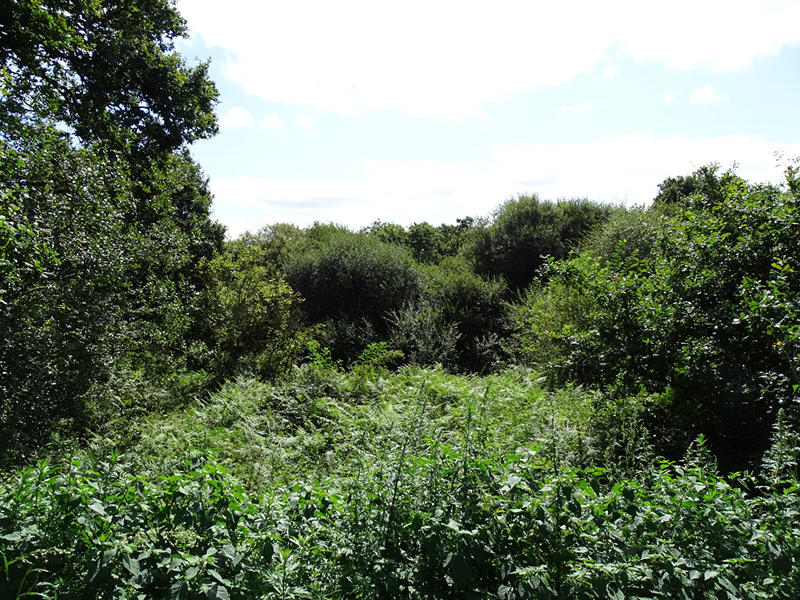 Maison - 113 m² - 6 pièces