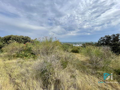 Terrain agricole - 7 310 m²