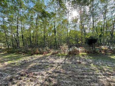 Terrain - 34 718 m²