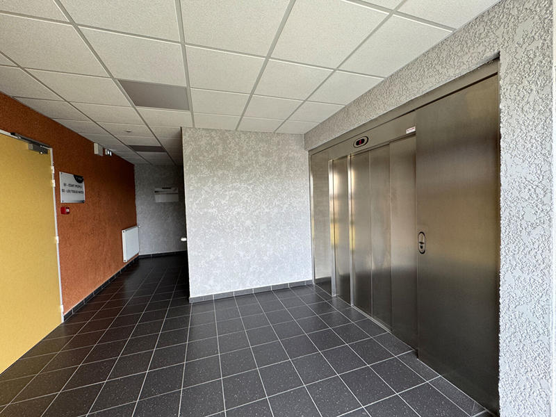 Local commercial - 330 m² - 1 pièce