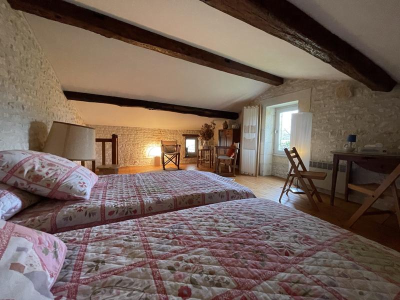 Viager - Maison ancienne - 550 m² - 12 pièces