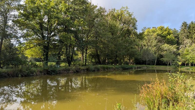 Maison - 154 m² - 6 pièces