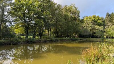 Maison - 154 m² - 6 pièces