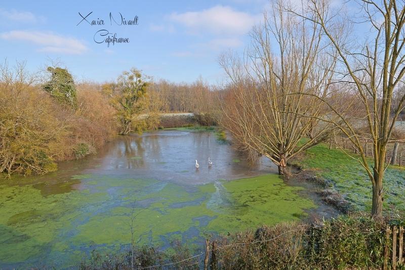 Maison - 242 m² - 5 pièces