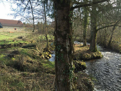 Maison - 500 m² - 10 pièces