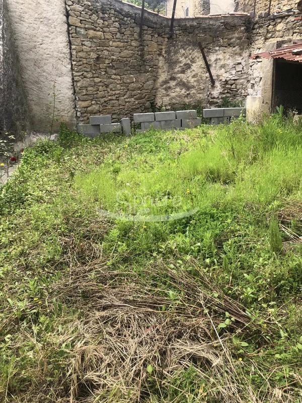 Immeuble mixte - 12 pièces