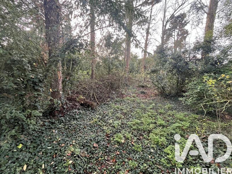 Maison de campagne - 81 m² - 4 pièces