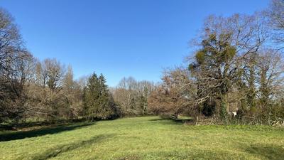 Terrain - 13 000 m²