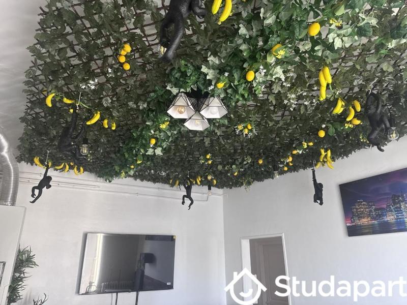 Appartement - 60 m² - 3 pièces