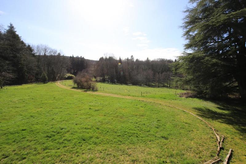 Château - 1 500 m² - 40 pièces