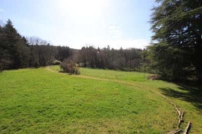 Château - 1 500 m² - 40 pièces