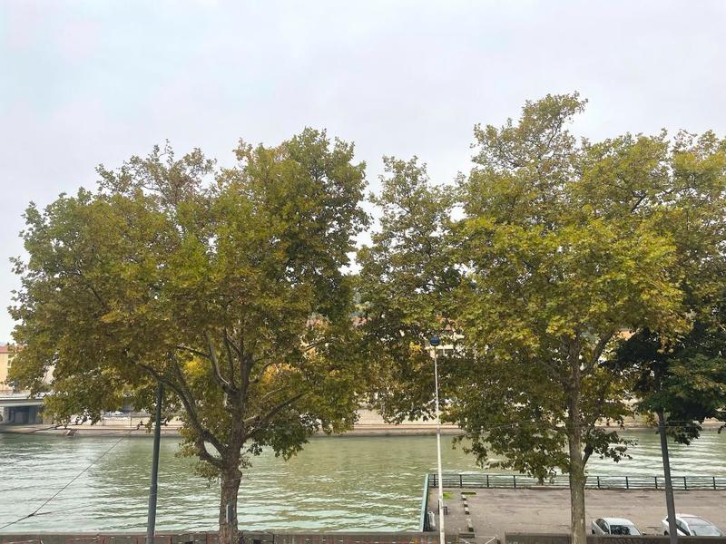 Appartement - 53 m² - 3 pièces