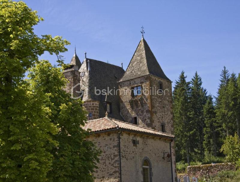 Château - 700 m² - 21 pièces