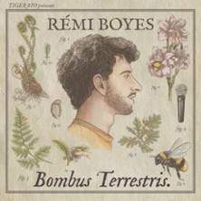 Rémi Boyes - Bombus Terrestris V2 - le Point Virgule, Paris