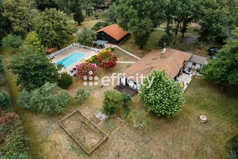 Demeure - 262 m² - 12 pièces