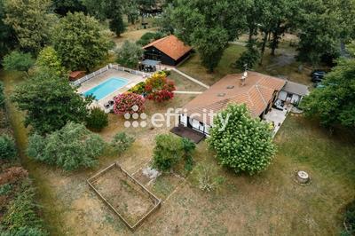 Demeure - 262 m² - 12 pièces