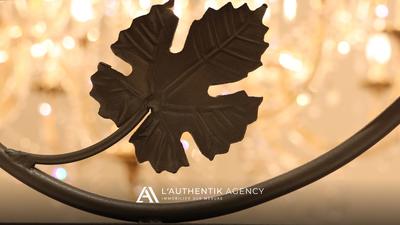 Villa - 366 m² - 8 pièces