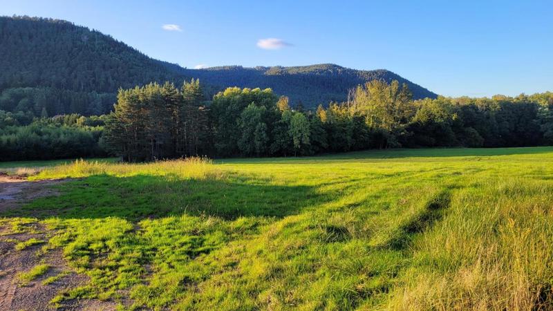 Terrain constructible - 2 161 m²