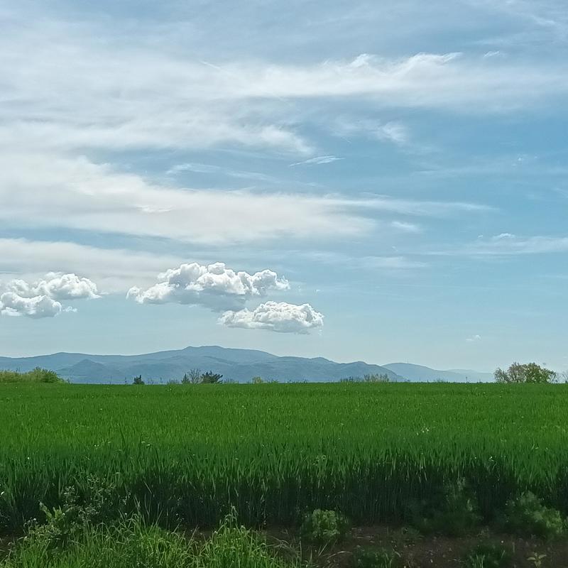 Terrain constructible - 300 m²