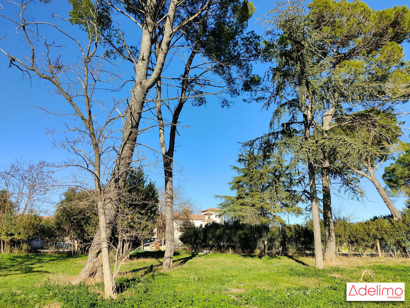 Mas - 1 582 m² - 15 pièces