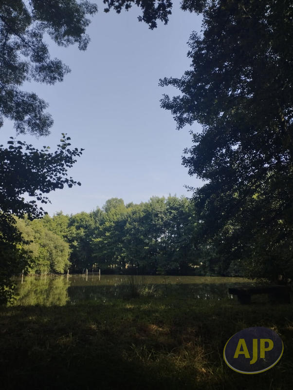 Terrain - 11 165 m²